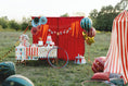 Bild in Galerie-Betrachter laden, Happy Birthday Zirkus Banner, 275 cm
